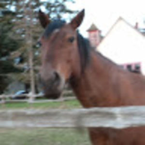 Meet your Posher, Katy